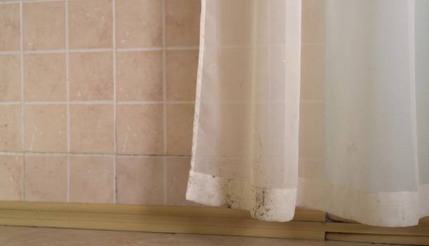 Best Real Estate Mold Inspection  in Samson, AL