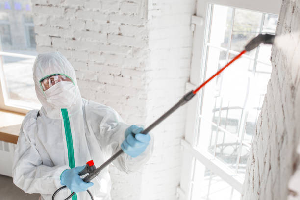 Best Asbestos and Lead Testing During Mold Inspection  in Samson, AL