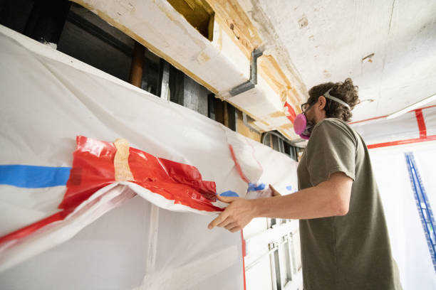 Best Emergency Mold Remediation  in Samson, AL